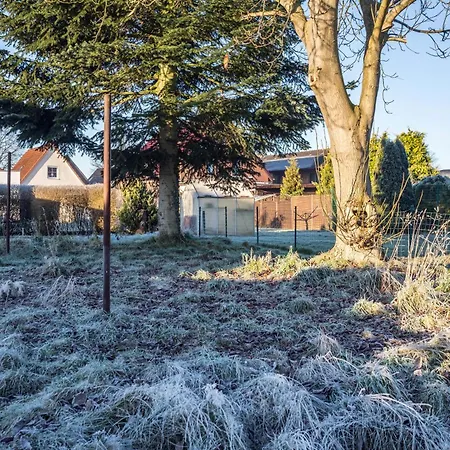 Nyaraló Ferienhaus Spaden
